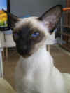 Ella-01.jpg (24104 tavu(a))