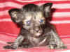 K4-181106.jpg (49213 tavu(a))