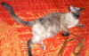 Louise-1.jpg (76559 tavu(a))