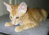 buddy_280405d.jpg (41174 tavu(a))
