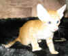 buster_250305b.jpg (38915 tavu(a))