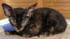 h3-100909a.JPG (57356 tavu(a))