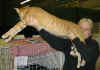 hansel-010406a.jpg (42863 tavu(a))