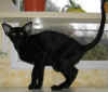 lenni-170406a.jpg (34076 tavu(a))