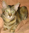 lillan-170806a.jpg (41577 tavu(a))
