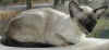 louise-170406b.jpg (31633 tavu(a))