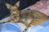 siiri030906.jpg (36087 tavu(a))