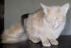 toffo12.JPG (64541 tavu(a))